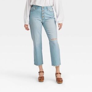 Universal Thread Curvy High Rise Vintage Straight Leg Jeans - Light Blue
